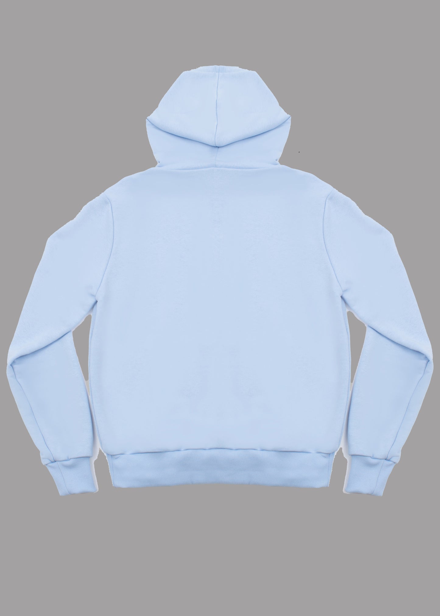 Women Baby Blue Hoodie with logo badge